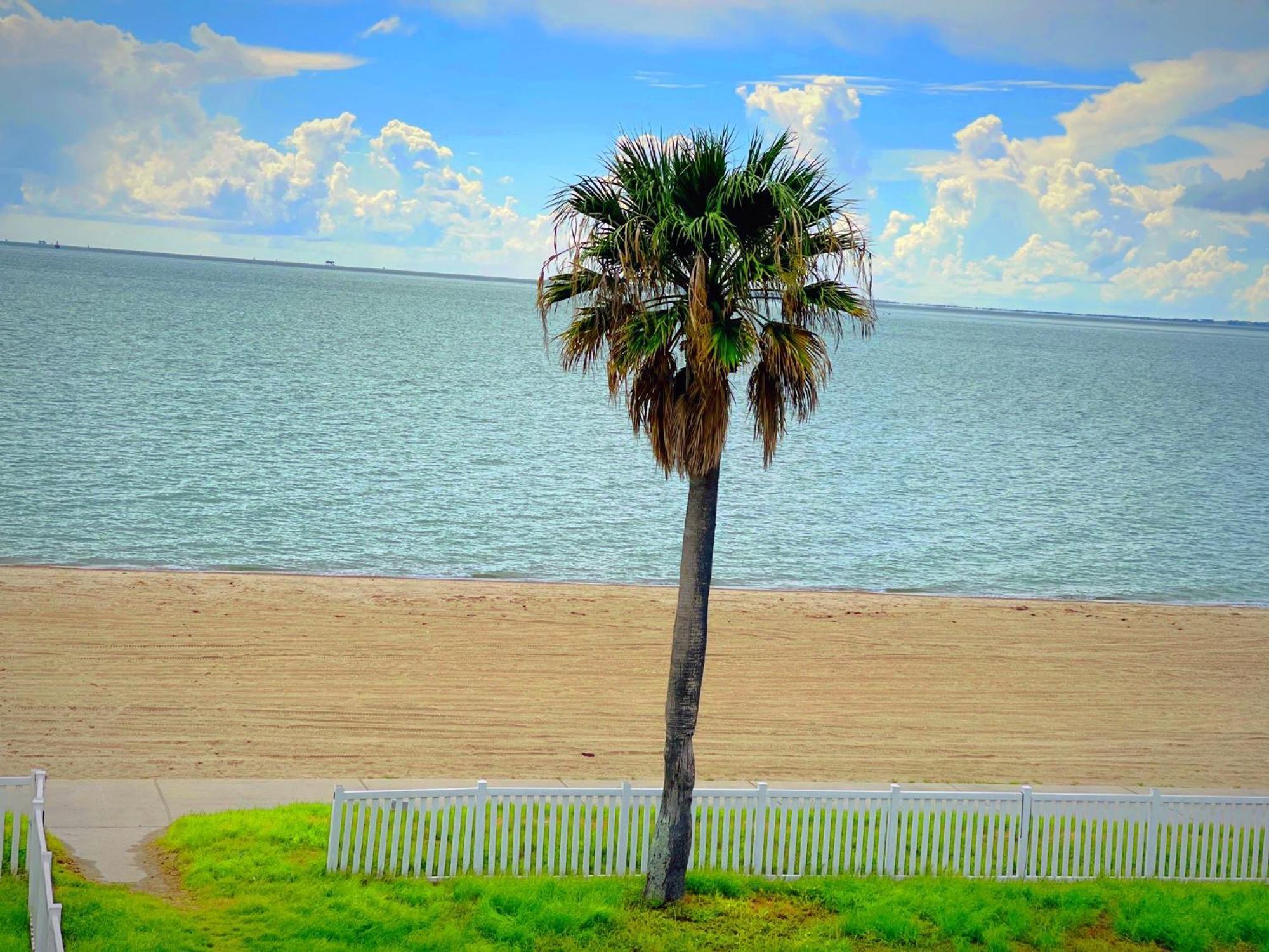 Sea Shell Inn On The Beach Corpus Christi Exterior foto